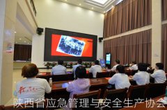 陕西省应急管理与安全生产协会党支部组织党员职工开展“牢记殷殷嘱托 传承红色基因”主题党日活动